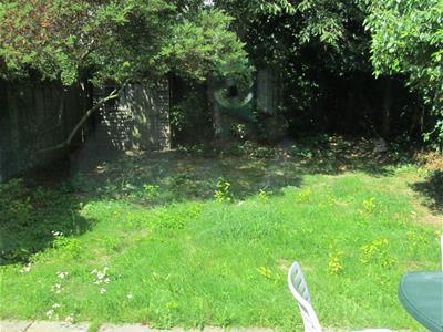 Picture 13